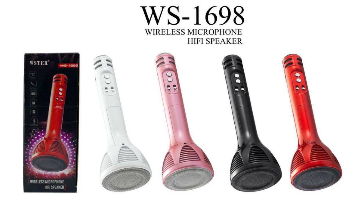 Lallafy Addy Sound Mike 1698 (Bulk) | Musical Microphone Toy with Light & Sound | Interactive Karaoke Singing Toy for Kids